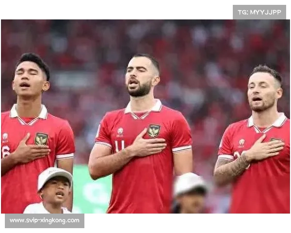 印尼归化军团身价三倍于国足 14名荷兰血统球员书写历史 印尼归化军团身价三倍于国足 14名荷兰血统球员书写历史